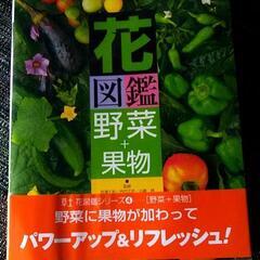 花図鑑 野菜+果物