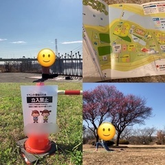 3/20公園でヨガとピクニックの画像