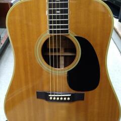 アコースティックギター　tokai 東海 Tokai Cat's Eyes CE-250S Acoustic Guitar