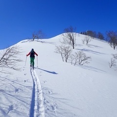 山スキー仲間募集