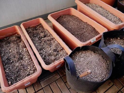 今週末までの出品 園芸 土 腐葉土 赤玉土 鹿沼 ガーデニング 何キロでもどうぞ モーニングスター 豊四季の家庭用品 ガーデニング の中古あげます 譲ります ジモティーで不用品の処分