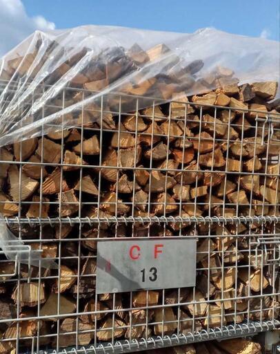 ○在庫残り1個○クヌギコナラカシサクラミックス 35cm前後~40cm前後 約