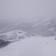 3/20浜松発日帰り栂池高原スキー場へ滑りに行きませんか？