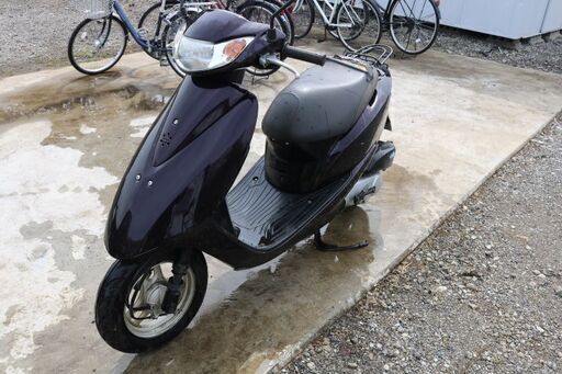 新入学に　お早めに　ディオ　ダークパープル