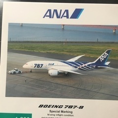 1/200 モデルプレーン　ANA B787 特別塗装機