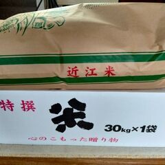 近江米 玄米 日本晴れ ３０キロ新米  令和３年秋収穫 