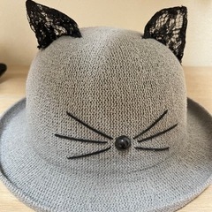可愛い猫　帽子