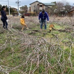 薪ストーブの火付けに良さそうな枝がたくさんあります。