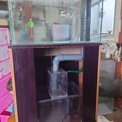 値下げしました！オーバーフロー水槽　60センチ　ライト付