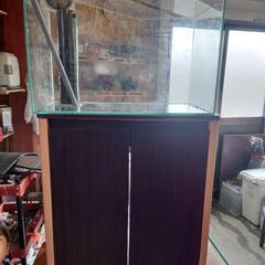 値下げしました！オーバーフロー水槽　60センチ　ライト付