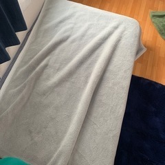 毛布(最終値下げ)
