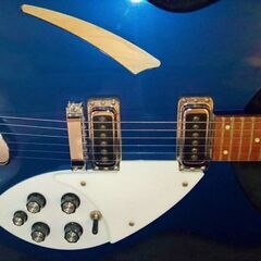 【商談成立】Rickenbacker 330　MID 　エフェクター　セット