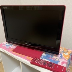 テレビ　【決定しました】