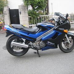 ZZR250  実動　動画付