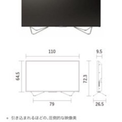 49インチ HDD内蔵 フナイテレビ