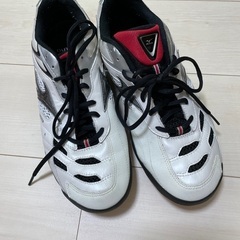 【3/24まで！早い者勝ち！】Mizuno スポーツシューズ