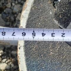 マウンテンボート　　ロングボード　スケートボード