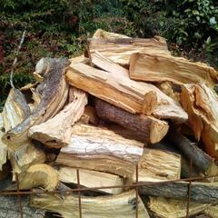 ●引取限定●未乾燥 訳あり 規格外 薪 約軽トラック荷台あおり1台分