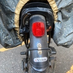 子供乗せ自転車　Virgo Tino   20インチ　二人乗り