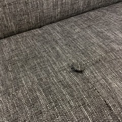 リサイクルサービス八光 田上店 配達・設置OK】2人掛けソファ グレー