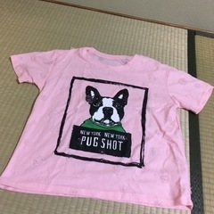 台湾製 パグTシャツ 薄手 ピンク