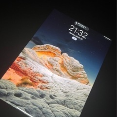 Apple iPad Pro (11 inch) 第一世代256GB セルラーMU102J