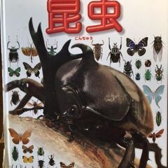 小学館の図鑑　NEO『昆虫』