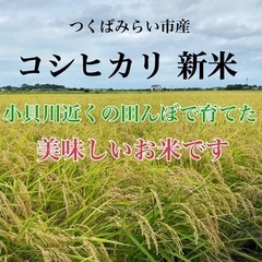 ①令和5年度 新米◆有機肥料使用 農家自家用つくばみらい市産コシ...