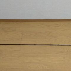 バス釣り　ロッド　カレイドクオッドライト