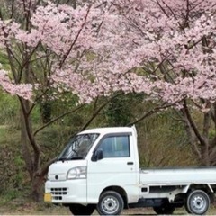 【急ぎ】軽トラック譲ってください