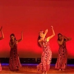 初めてのフラダンス　🌺体験会🌺　ふじみ野市上福岡