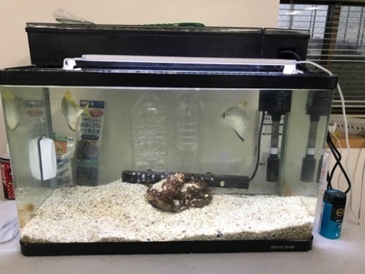 海水魚と水槽セット一式 Geo 橿原の家具の中古あげます 譲ります ジモティーで不用品の処分