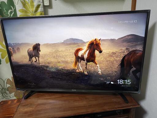 Hisense ハイセンス 液晶テレビ [43型]