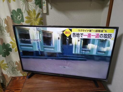 Hisense ハイセンス 液晶テレビ [43型] | hanselygretel.cl