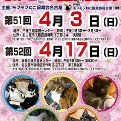 4/3(日)　猫の譲渡会　in　名古屋市千種生涯学習センター