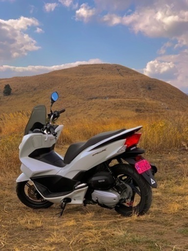 PCX JF56  保険5年