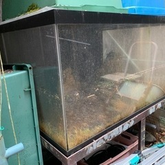 （お取引完了）?大きな水槽?価格交渉可能です?