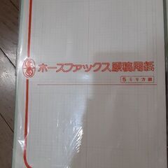 ホースファックス原稿用紙　5ミリ方眼(100円)