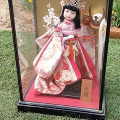 決まりました　日本人形　女の子　八重垣　ケース付き