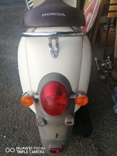 HONDA　スクーピー　美車