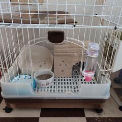 うさぎの小屋　Kojima ご縁がある方に譲る 11.jpg