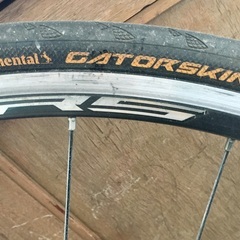 Surly Pacer　クロモリロードバイク