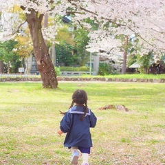 毎年大好評！桜フォト撮影会２０２２＜３月２７日・３月２９日＞の画像