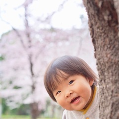 毎年大好評！桜フォト撮影会２０２２＜３月２７日・３月２９日＞ - 育児