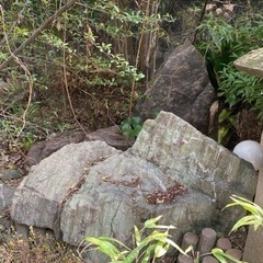 【ネット決済】庭石たくさん取り放題！