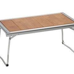 スノーピーク エントリーIGT 専用収納バッグ付 スノーピーク エントリーIGT⭐︎収納バック付き キャンプ