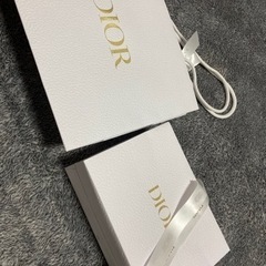 DIOR 紙袋　2枚