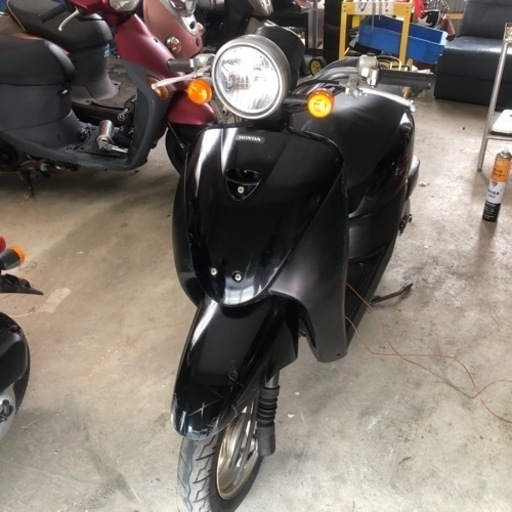 配送タダ！ホンダ　トゥデイ　af67 HONDA today 岐阜　愛知　原付