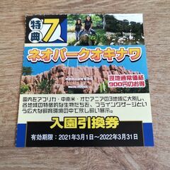 【ネット決済・配送可】複数割引あり・他施設チケットあり　ネオパー...