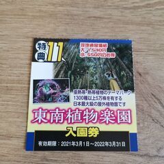 【ネット決済・配送可】2枚 イルミネーション 沖縄東南植物楽園 入園券